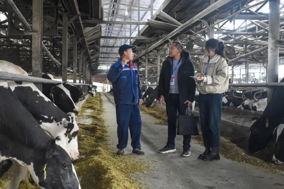 聚焦全會(huì)?學(xué)習(xí)貫徹丨南平：一以貫之推進(jìn)全面從嚴(yán)治黨 為奮力推進(jìn) 中國(guó)式現(xiàn)代化南平實(shí)踐清障護(hù)航